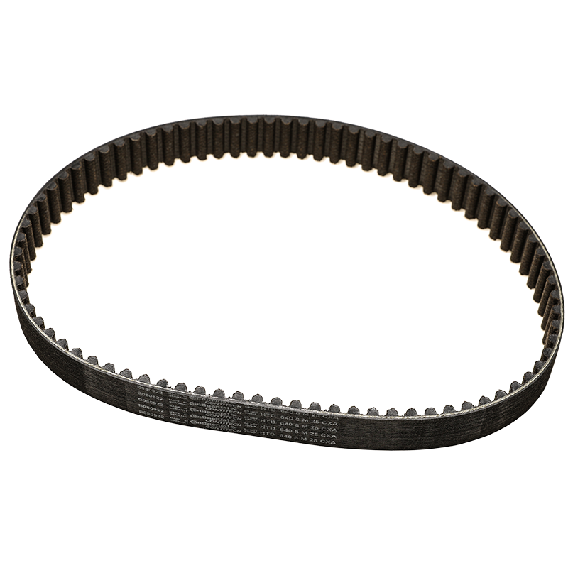 Ultra bee Primary Drive Belt